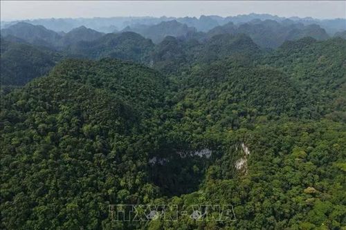 Phát hiện hố sụt sâu 120m trong Vườn Quốc gia Phong Nha - Kẻ Bàng