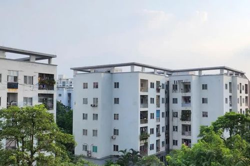 Nhà cho thuê ổn định, giá phải chăng thì người dân không nhất thiết phải mua