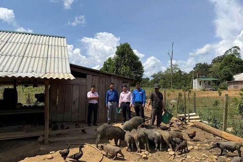 Đòn bẩy từ chương trình mục tiêu quốc gia và lời giải từ sinh kế bản địa
