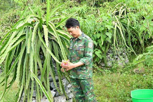 Kinh tế - xã hội và đời sống của đồng bào dân tộc thiểu số tỉnh Cao Bằng cải thiện tích cực