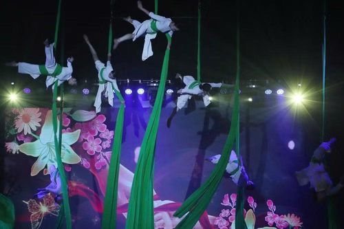 'Kỳ Yến - Bữa tiệc diệu kỳ': Xiếc Việt tiếp tục hành trình đổi mới