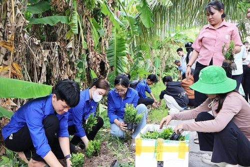Châu Thành ra mắt mô hình 'Ấp không ma túy'
