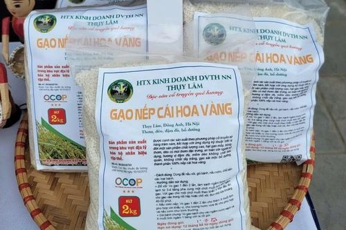 Nếp cái hoa vàng Thụy Lâm: Giữ hương vị truyền thống, nâng tầm nông sản OCOP