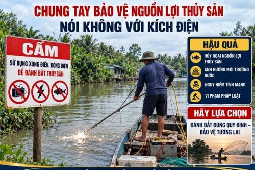Khai thác thủy sản bằng kích điện, hiểm họa từ cách đánh bắt tận thu