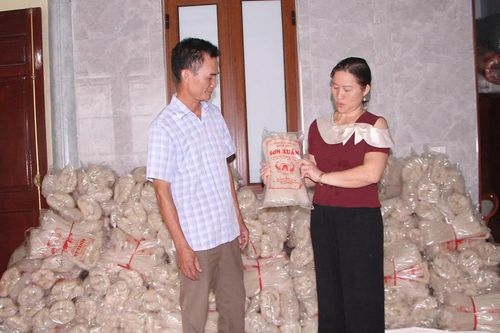 Đẩy mạnh phát triển sản phẩm OCOP