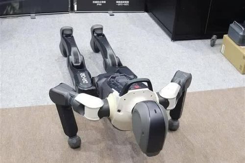 Lần đầu tiên trên thế giới các robot AI vật lý được 'bảo hiểm phi nhân thọ'