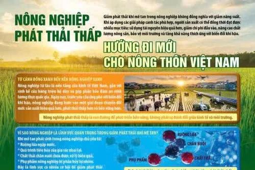 Nông nghiệp phát thải thấp hướng đi mới cho nông thôn Việt Nam