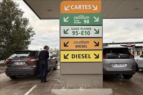 EU xuất 42,6 triệu thùng dầu dự trữ trước mùa Đông