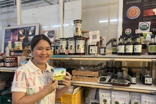 An Giang: Góp sức giữ nghề thốt nốt, nâng sinh kế cho người dân