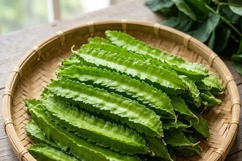 Lợi ích sức khỏe của đậu rồng