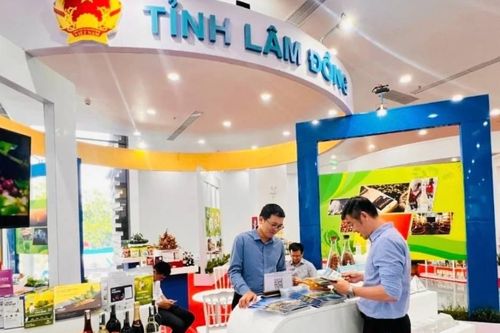 Lực đẩy phát triển kinh tế Lâm Đồng: Thu hút dòng vốn "xanh" và nâng tầm du lịch sinh thái