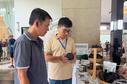 Vỏ cam, gáo dừa hóa hàng xuất khẩu, mở hướng phát triển bền vững