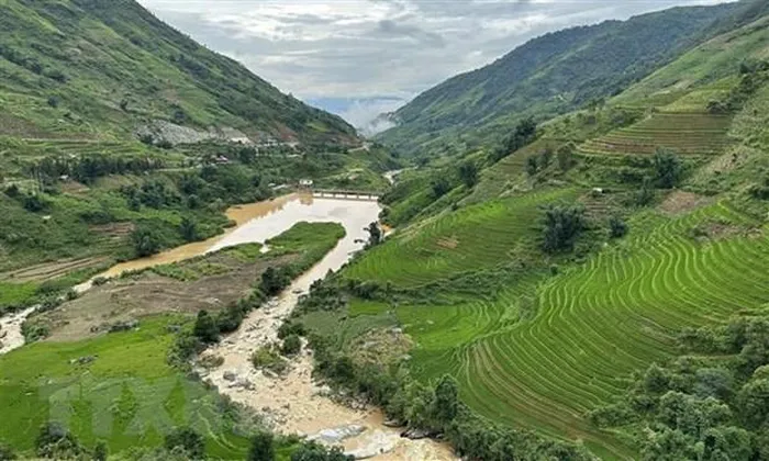 Xã Trung Chải mùa lúa xanh mượt mà phủ kín khắp sườn đồi. (Ảnh: Quốc Khánh/TTXVN)