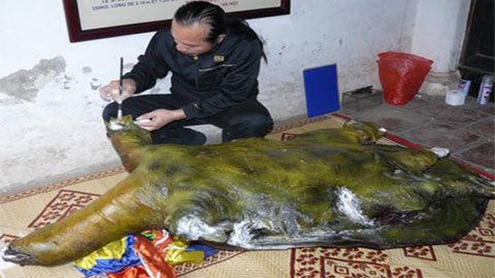 Sơn phủ lên những bộ phận tróc lở ở tiêu bản cụ rùa. - Ảnh: Dân trí.