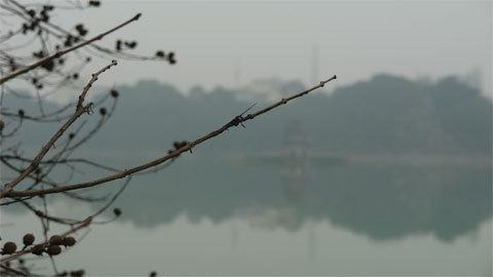 Tháp Rùa xa mờ trong chiều mờ sương ngày 21/2/2011 - Ảnh: K.Trung