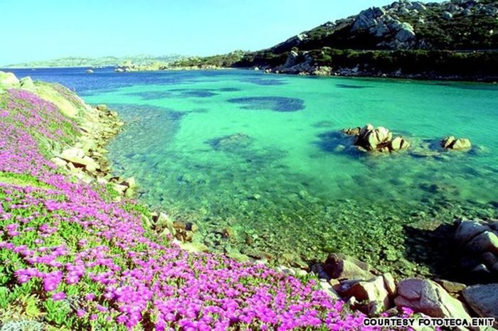  Đảo La Maddalena là một trong những hòn đảo lớn ở Địa Trung Hải và nổi tiếng với các pháo đài và cuộc sống ban đêm. 