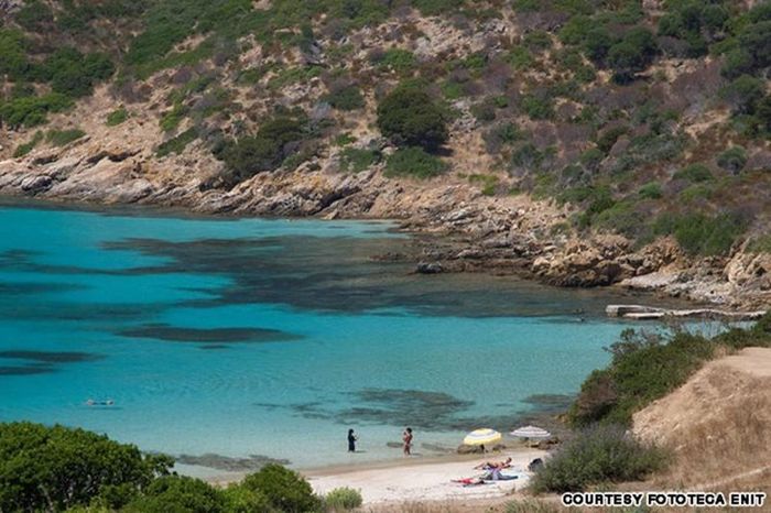  Đảo Asinara ở ngoài khơi bờ biển Sardinia giữ nguyên được vẻ đẹp hoang sơ. 