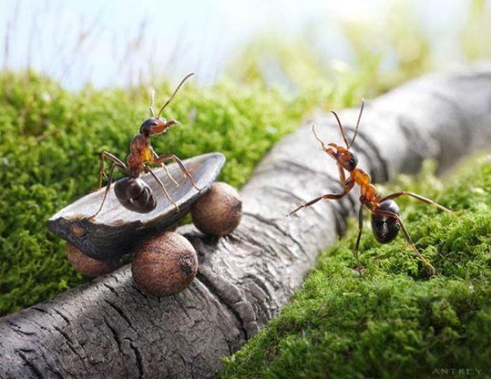 Kết quả mang lại trên cả tuyệt vời, thậm chí Andrey cũng không thể ngờ tới.