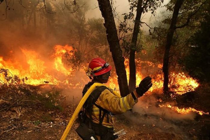 Xem ra, lính cứu hỏa phải "chào thua" giặc lửa ở Công viên Quốc gia Yosemite. 