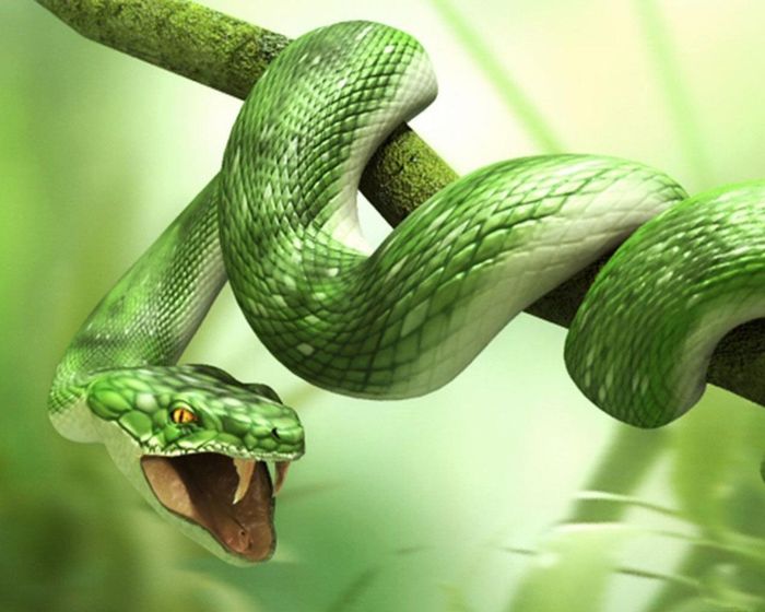  Mơ thấy con cái bị rắn cắn: Giấc mơ này mang điềm xấu. Nó báo hiệu cuộc sống gia đình bạn có thể gặp trục trặc. Hãy chú ý giữ gìn hạnh phúc và đem đến cho con trẻ không khí gia đình ấm áp, hòa thuận. 