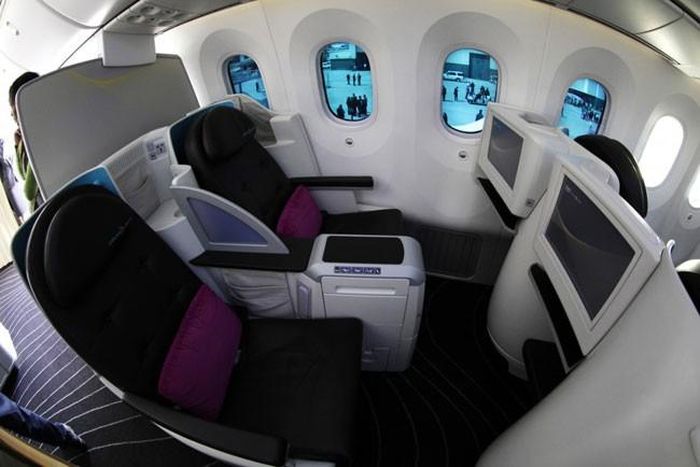 Boeing 787 Dreamliner là loại máy bay chở khách được Boeing đặt nhiều kỳ vọng khi bắt đầu đi vào hoạt động thương mại vào tháng 10/2011, nhằm cạnh tranh với sự lớn mạnh của đối thủ đến từ Pháp Airbus. Dòng máy bay Boeing 787 được Vietnam Airlines đặt mua có sức chứa từ 210 khách trở lên, có khả năng bay thẳng khoảng 15.000 km mà không cần tiếp nhiên liệu. Đây cũng là thế hệ máy bay được Boeing tuyên bố có hiệu suất nhiên liệu cao hơn các dòng máy bay khác của hãng. 