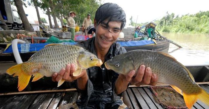  Niềm vui của ngư dân khi bắt được cá lớn. 