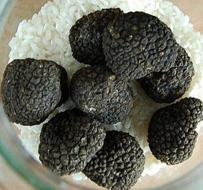  Nấm Perigord 900 bảng.