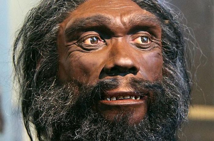 Homo heidelbergensis là một loài đã tuyệt chủng trong chi Homo, sinh sống khoảng 700.000 năm trước. Loài người này đã biết săn bắt các động vật như hà mã, tê giác và nai về làm thức ăn. 