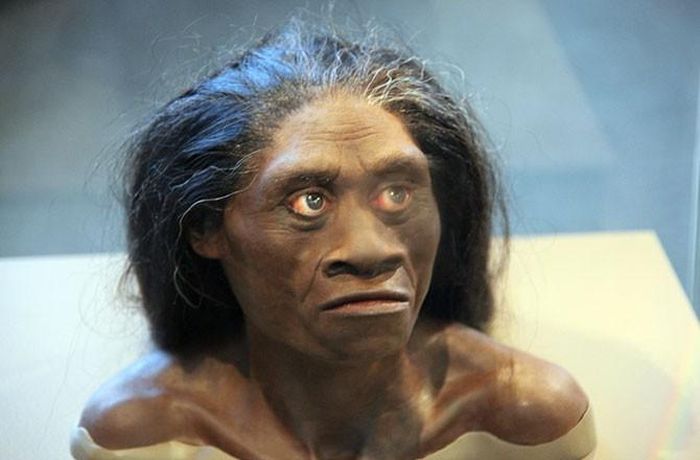 Homo floresiensis có thể là một loài, nay đã tuyệt chủng, trong chi Homo, sống khoảng 95.000 đến 17.000 năm trước đây. Tại đảo Flores, Indonesia, các nhà nghiên cứu đã tìm thấy bằng chứng về đồ ăn của người này gồm các loài như voi, chuột khổng lồ, thậm chí có cả thằn lằn khổng lồ như rồng Komodo. 