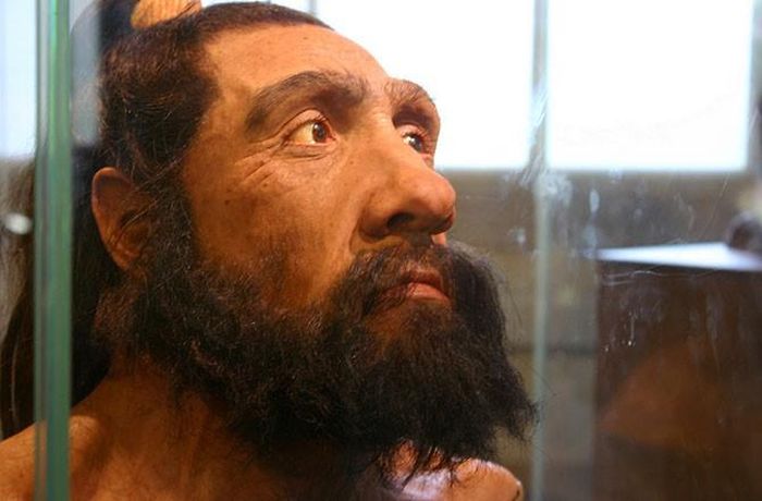 Người Neanderthal là một loài trong chi Người đã tuyệt chủng (Homo Neanderthalensis), sinh sống khoảng 200.000 đến 28.000 năm trước đây. Đến từ các nước Châu Âu và Châu Á, người Neanderthal là những người yêu thích thịt tối đa, họ săn bắn voi, hươu, nai, tuần lộc, và nhiều loài. Họ cũng ăn một số loại trái cây, các loại hạt và rau. 
