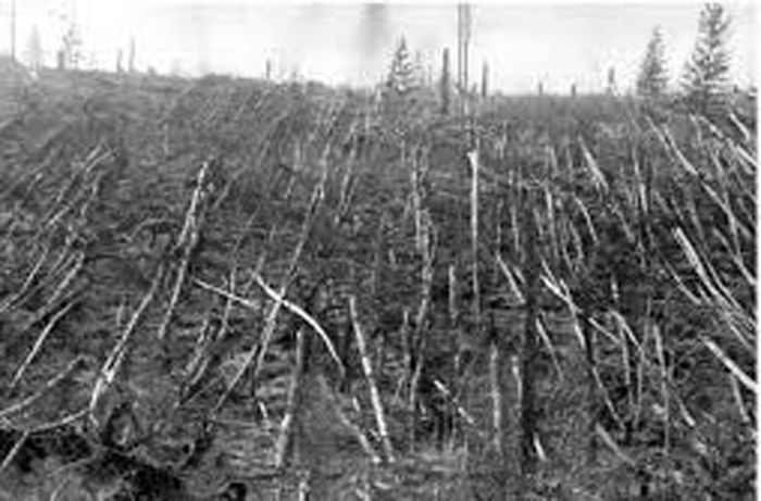  3. Vụ nổ Tunguska năm 1908 là một trong những vụ nổ bí ẩn nhất lịch sử cận đại. Khi đó, một vật thể chưa xác định đã phát nổ trên bầu trời Siberia, tạo ra xung động còn mạnh hơn 2.000 lần bom nguyên tử được thả xuống thành phố Hiroshima, Nhật Bản. Nó đã khiến cây cối trong bán kính khoảng 2.072 km2 đổ rạp. 