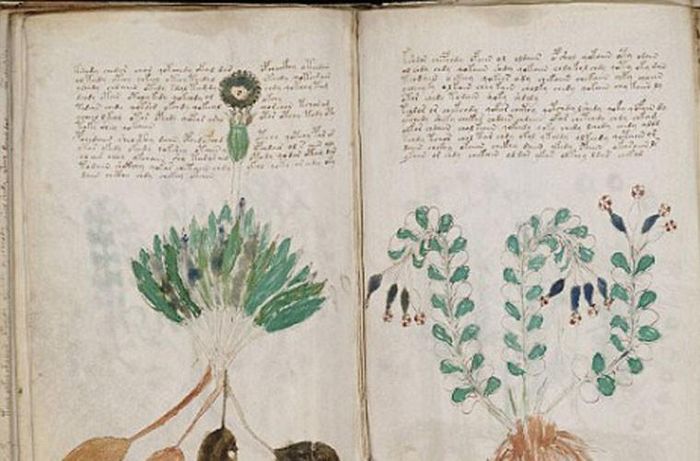  Voynich được viết bằng một loại ngôn ngữ mà con người vẫn chưa xác định được. Hàng trăm nội dung được viết trong cuốn sách đó vẫn chưa được giải mã. Những hình minh họa khó hiểu đã khiến một số người đưa ra giả thuyết về nguồn gốc và nội dung của nó. Thậm chí, một số cho rằng đó là trò bịp chứ không hề ẩn chứa thông điệp nào cả. Tuy nhiên, số khác lại tin trong sách hàm chứa nội dung quý giá mà các chuyên giải mã chưa tìm hiểu được. 