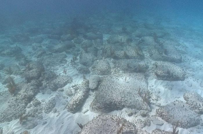  5. Bí ẩn Bimini - đường tới đảo Atlantis huyền bí. Năm 1968, người ta phát hiện một bức tường đá dưới nước gần phía đảo Bắc Bimini ở Bahamas. Bức tường này được hình thành từ những viên gạch đá vôi có hình chữ nhật, tạo nên hình dáng rất giống một con đường hoặc một bức tường thời cổ xưa. 