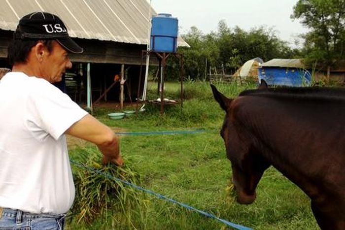 Ông Baudron Jean Yves hiện đang nuôi 9 chú ngựa đua. Hàng tháng ông phải bỏ gần 30 triệu đồng để duy trì đàn ngựa. Đây đều là những chú ngựa từng vô địch giải đấu cấp quốc gia trước kia
