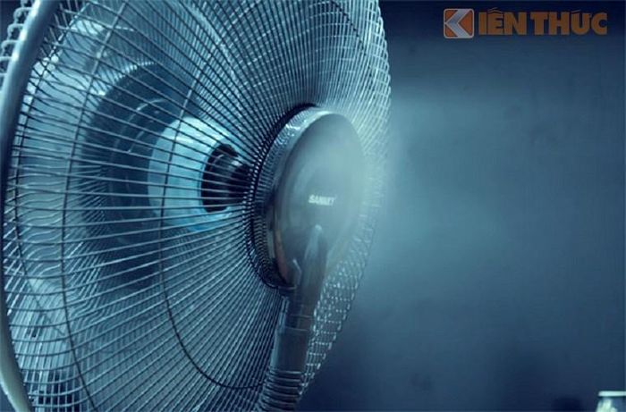 Ngoài ra, loại quạt này có thể gây hư hỏng cho những đồ đạc "ngại" hơi sương như giấy, đồ gỗ, thiết bị điện tử. 