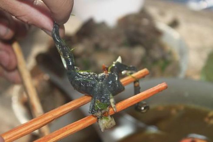  Món ếch sữa nấu chuối đậu.