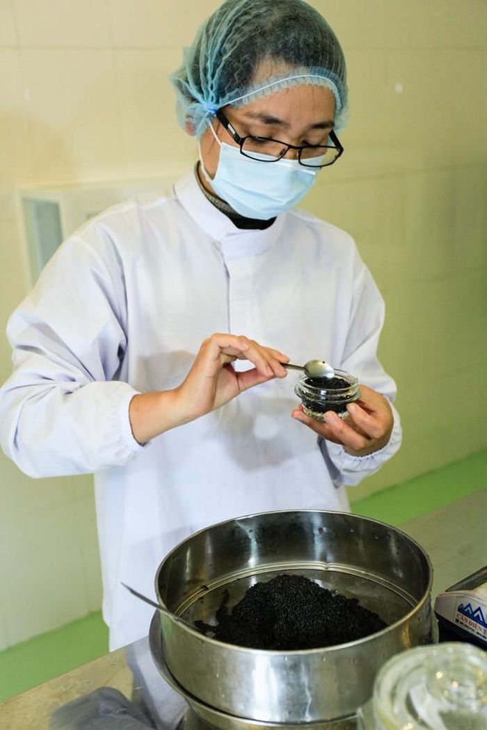 Trứng cá sẽ được cho đầy vào những hộp có trọng lượng từ 30gr đến 500gr.