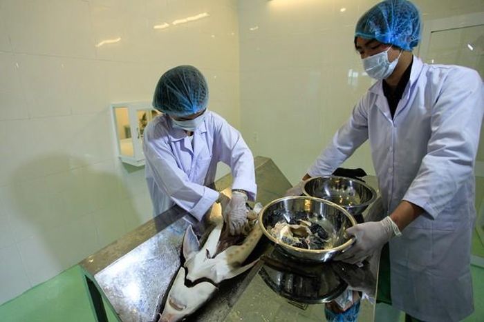  Toàn bộ công đoạn này đều được làm bằng tay một cách tỉ mỉ ...