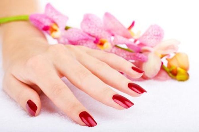 4. Người có móng tay cong cong như hình móng gà, móng chim là người bảo thủ, thường bác bỏ ý kiến của người khác, xem ý kiến của mình là... luôn luôn đúng!. 