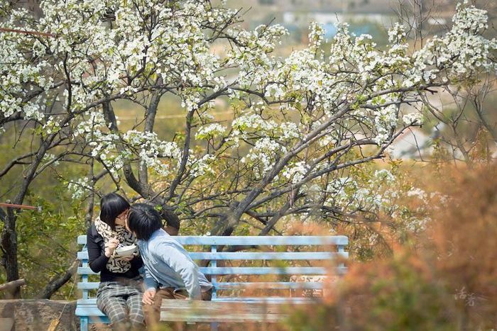  Cặp đôi đang sống rất hạnh phúc trên núi với không khí thiên nhiên rất trong lành. 