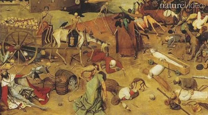 Gần đây, các chuyên gia cho rằng, "cái chết đen" có nguồn gốc từ một loại virus gây xuất huyết tương tự như virus ebola. Căn bệnh này sẽ khiến nạn nhân mất máu nghiêm trọng. Cho đến nay, các nhà khoa học đang tiếp tục nghiên cứu, phân tích thi thể các nạn nhân nhằm tìm ra những bằng chứng ủng hộ giả thuyết trên. Căn bện này có nguy cơ bùng phát cao ở các khu vực tồi tàn, nơi có nhiều chuột.