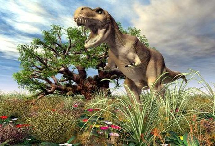 Như vậy, Pinocchio rex chính thức là họ hàng mới của khủng long bạo chúa Tyrannosaurus rex (T-rex), sống vào cuối kỷ Phấn trắng, cách đây khoảng 66 triệu năm. 