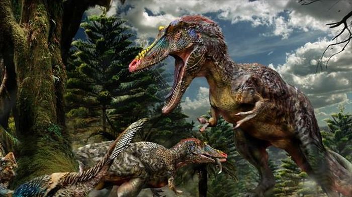  Ngoài ra, cấu tạo hộp sọ của Pinocchio rex dài, răng hẹp và dài, khá khác biệt với hàm răng dày và khỏe của khủng long bạo chúa T-rex. 