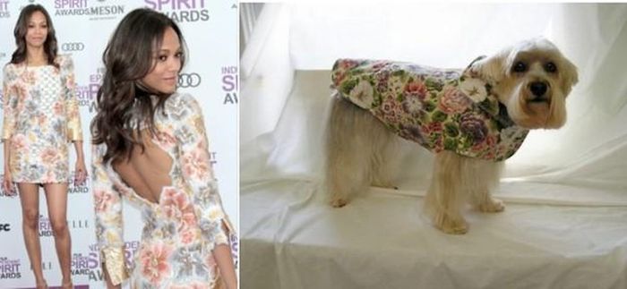 Zoe Saldana diện style hoa lá tuy không phải xu hướng năm nay nhưng lại vẫn hot nhé, mình cũng tậu được một bộ rồi này! 