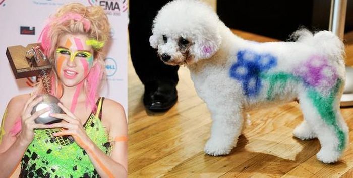 Kesha và thân thể đầy màu mè lên nhận cup MTV so với chú cún được vẽ hoa chằng chịt trông "ăn ảnh" hơn nhiều. 