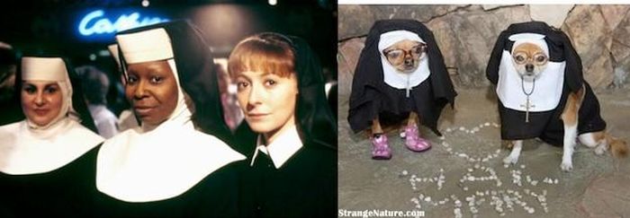 Whoopi Goldberg trông "nguy hiểm" thật đấy!
