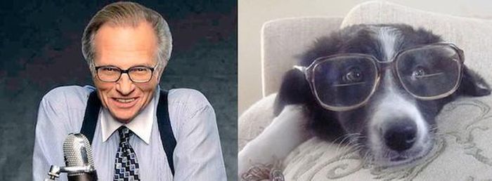  Đôi lúc mình ước không bị cận, nhưng chả phải Larry King cũng vẫn đeo đấy thôi. Hừm!