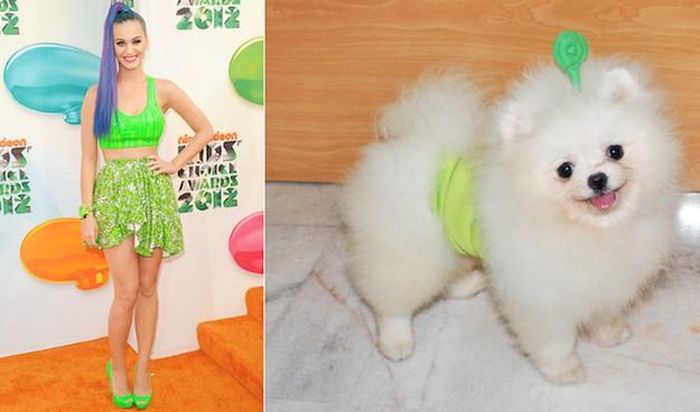 Katty Perry "phát quang" với những màu neon sắc độ lạnh. Mình kết rồi đấy, phải học hỏi phong cách thôi. 