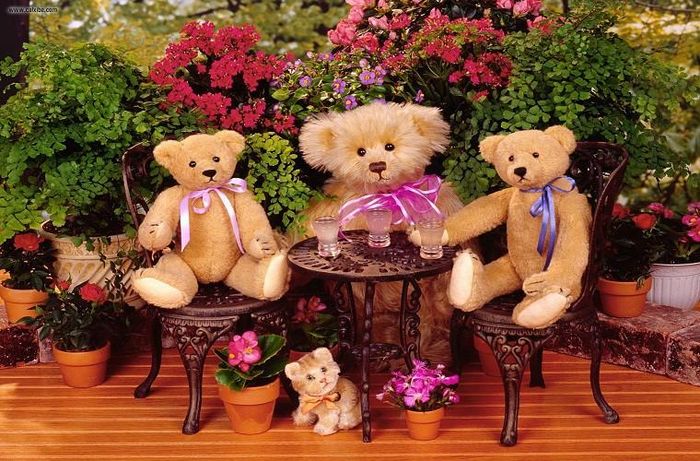 Mộ số thương hiệu đồ chơi có giá khá đắt (trên 300 nghìn) như: Teddy Bear Museum, Ghibli Studio, Russ, NICI, GoodTime… Ngoài ra, các thương hiệu Việt như Quỳnh Anh, Thành Đạt, Quốc Định… với nhiều mẫu thú bông gấu, mèo, nhân vật hoạt hình độc đáo có giá mềm hơn từ 80 – trên 200 nghìn. 