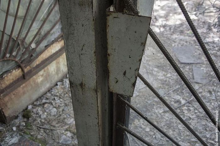  Khắp nơi ở thành phố Pripyat toát lên vẻ đáng sợ, không phải ai cũng dám đặt chân đến nơi này.